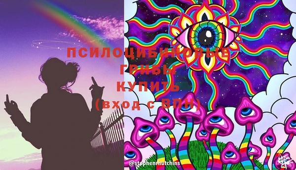 ПСИЛОЦИБИНОВЫЕ ГРИБЫ Нягань
