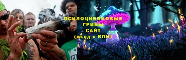 ПСИЛОЦИБИНОВЫЕ ГРИБЫ Нягань